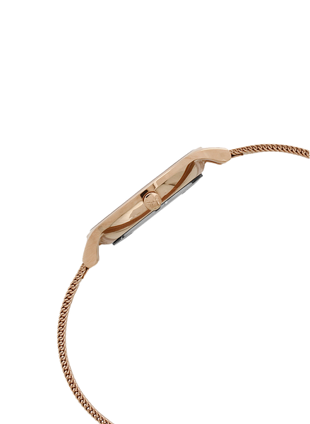 Skagen Anita Golden Analog Watch